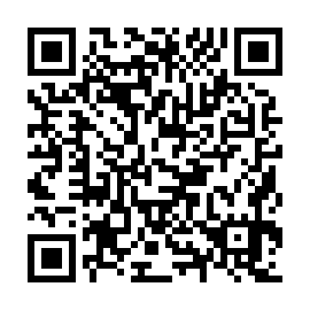 QR code for N91875
