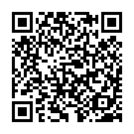 QR code for N92498