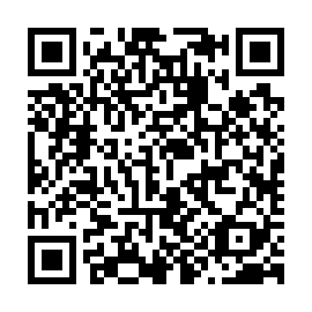 QR code for N92729