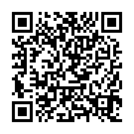 QR code for N92810