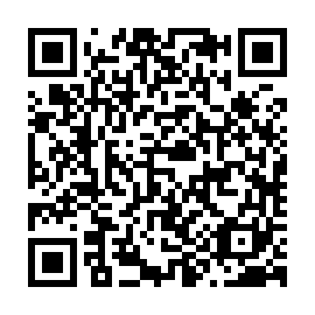 QR code for N92961