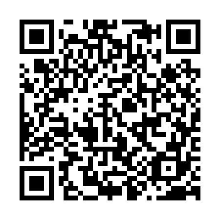 QR code for N93272