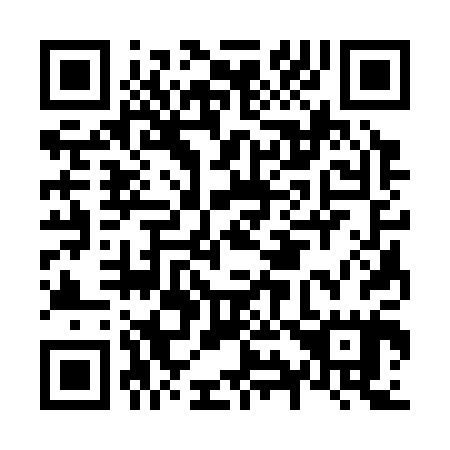 QR code for N93305