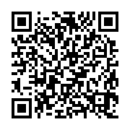 QR code for N93383