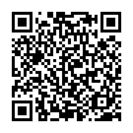 QR code for N93523