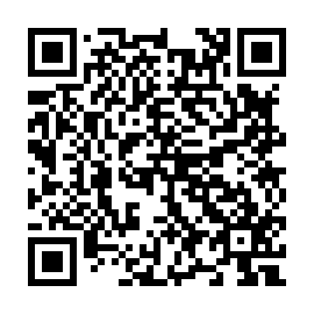 QR code for N93817