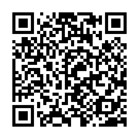 QR code for N94038