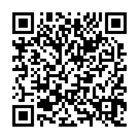 QR code for N94207