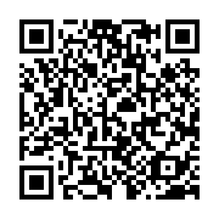 QR code for N94239
