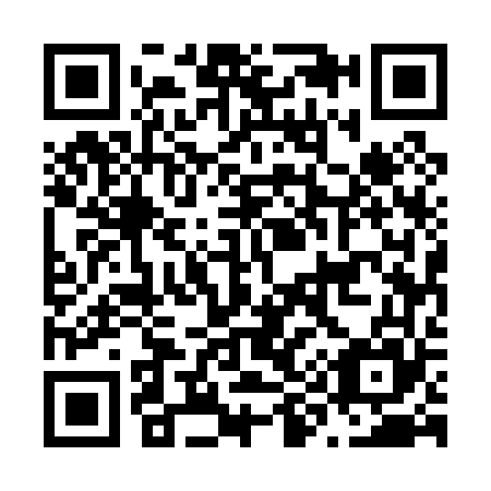QR code for N95065