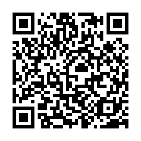 QR code for N95171