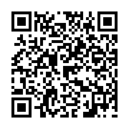 QR code for N95201