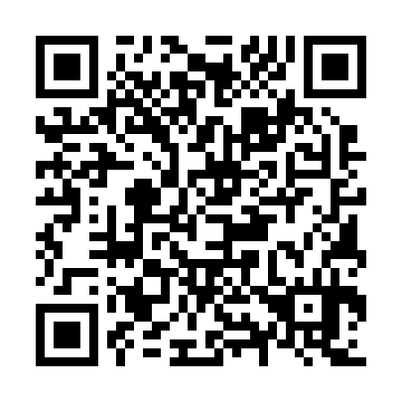 QR code for N95234