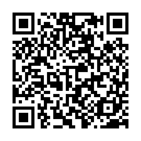 QR code for N95241