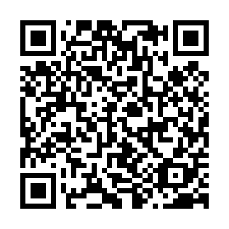 QR code for N95408