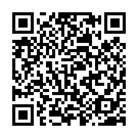 QR code for N95418