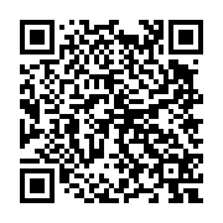 QR code for N95424