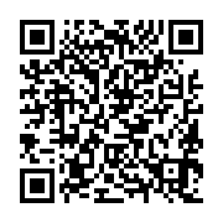 QR code for N95491