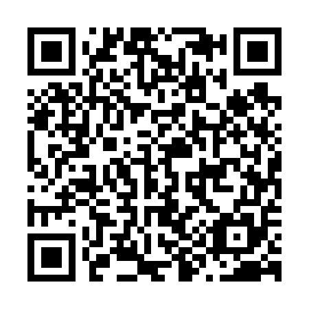 QR code for N95655