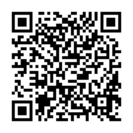 QR code for N95896