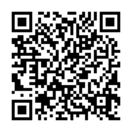 QR code for N95936