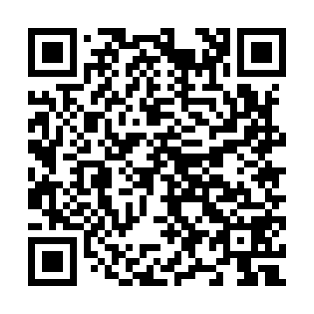 QR code for N95958