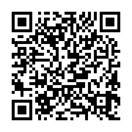 QR code for N95989