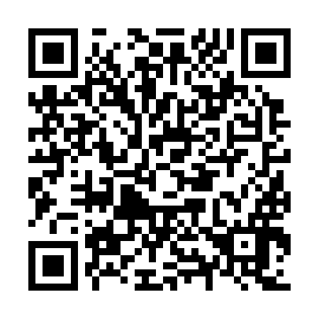 QR code for N96396
