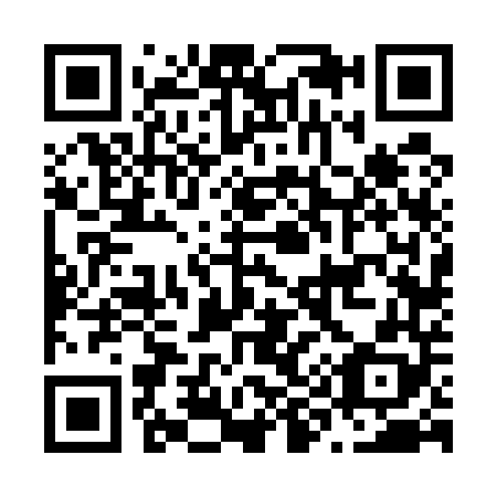 QR code for N96548