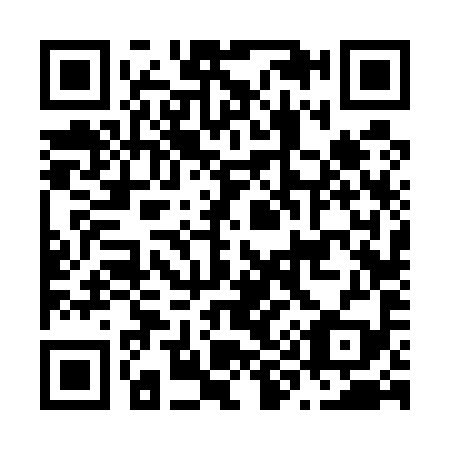QR code for N96599