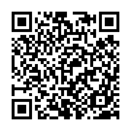 QR code for N96667