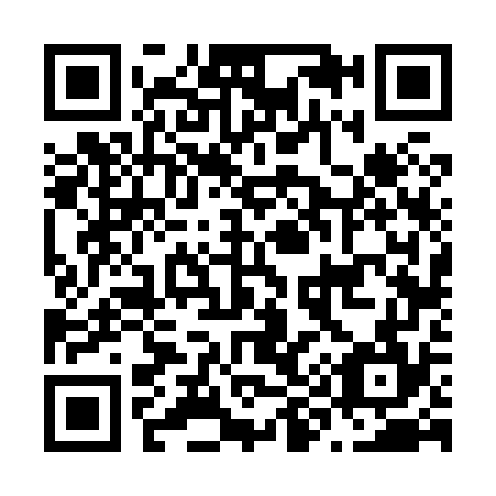 QR code for N96874