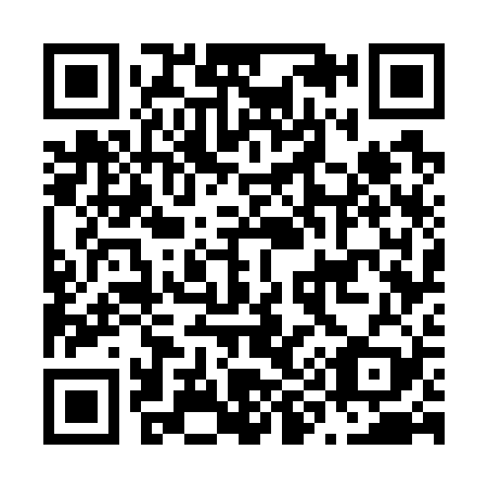 QR code for N97729