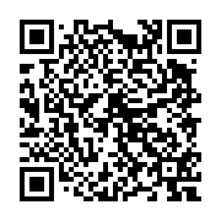 QR code for N98411