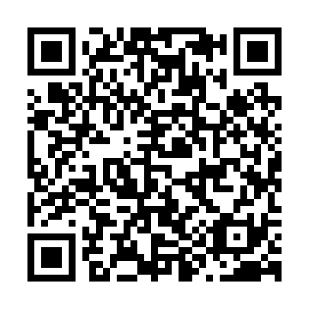 QR code for N99231