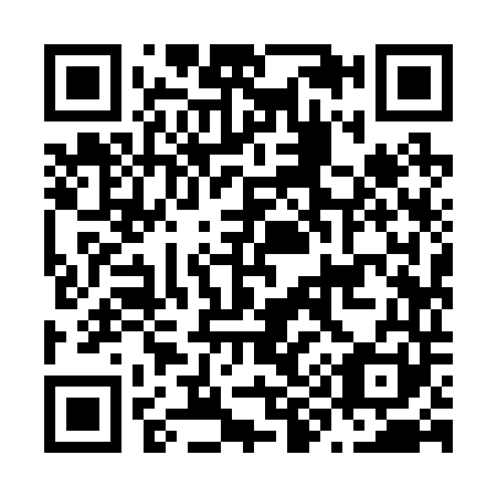 QR code for N99241