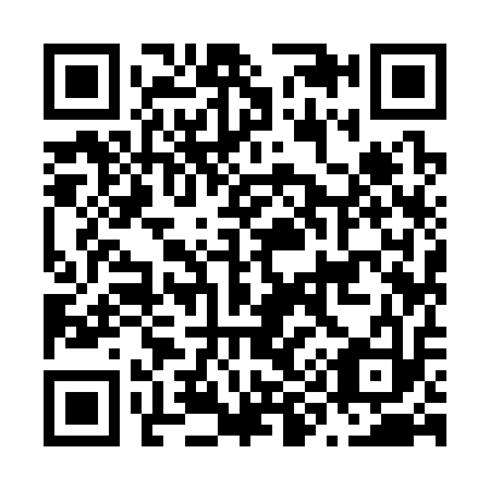 QR code for N99313