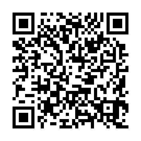 QR code for N99381