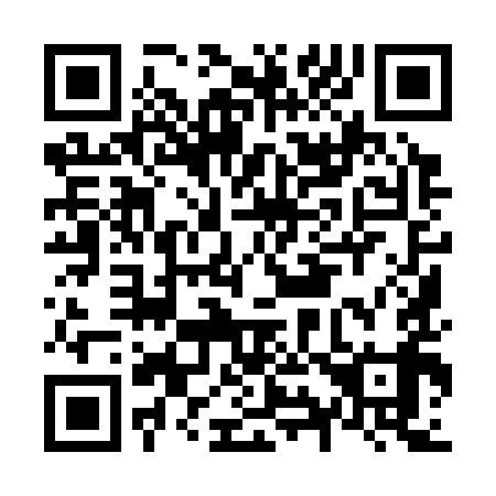 QR code for N99399