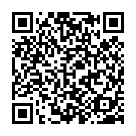 QR code for N99419