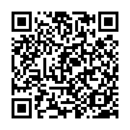 QR code for N99501