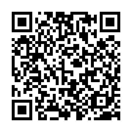 QR code for N99591
