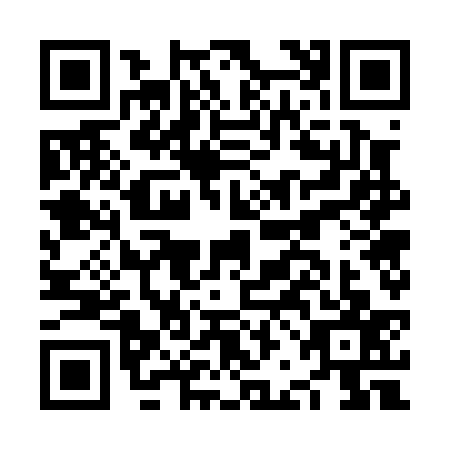 QR code for plate NBG-0375
