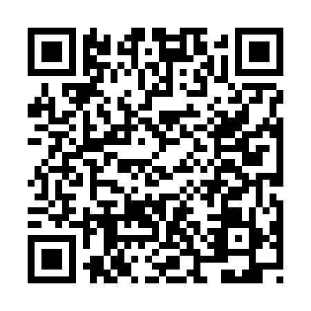 QR code for NCH-6595