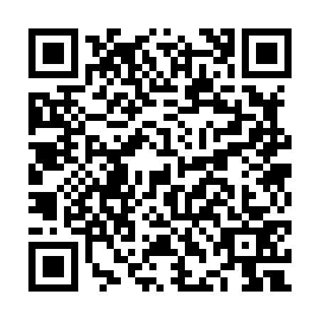 QR code for plate NDC-8733