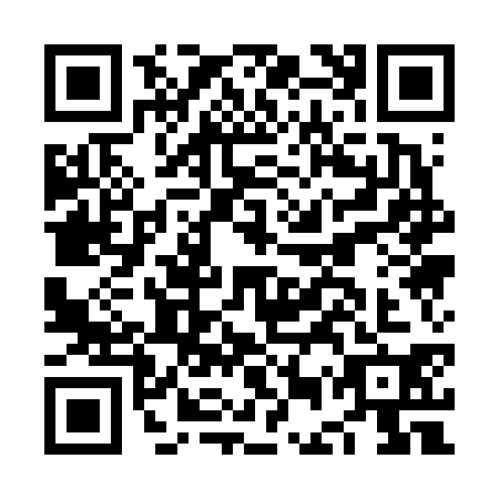 QR code for plate NEQ-6305