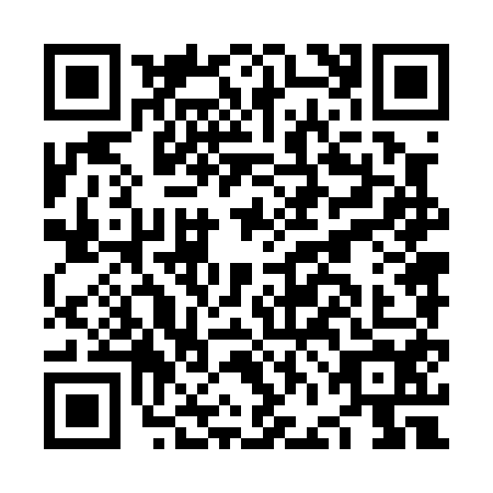 QR code for NFN0541