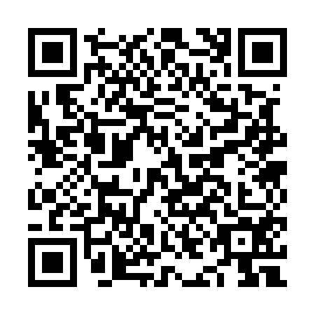 QR code for plate NIC-5541