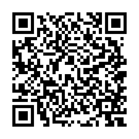 QR code for NIE-6863