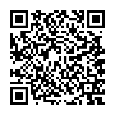 QR code for NIF-0608
